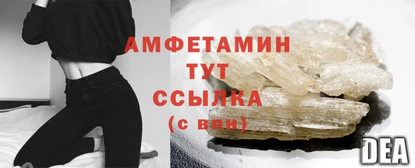 сатива Елабуга