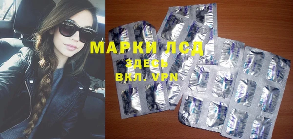 сатива Елабуга