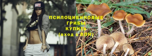 сатива Елабуга