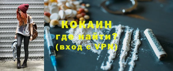 сатива Елабуга