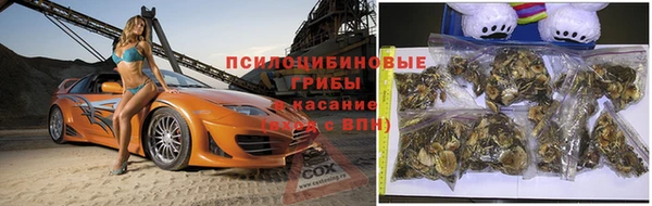 а пвп мука Елизово